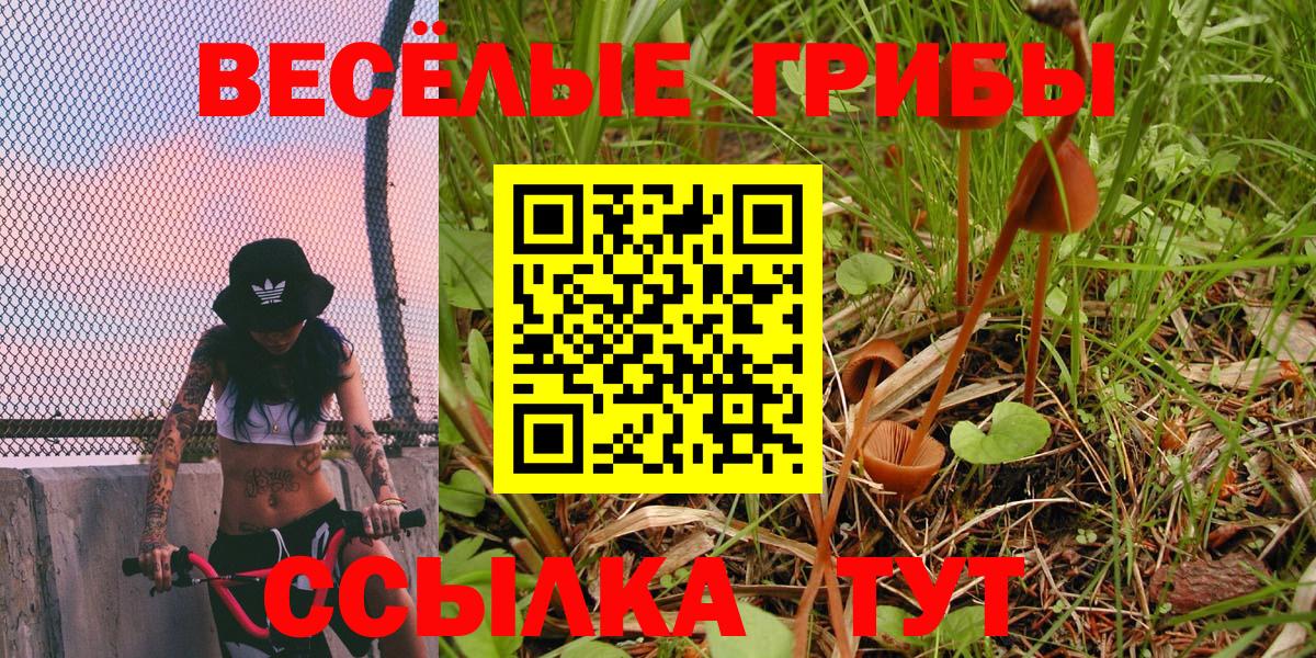 Галлюциногенные грибы мухоморы Курчалой
