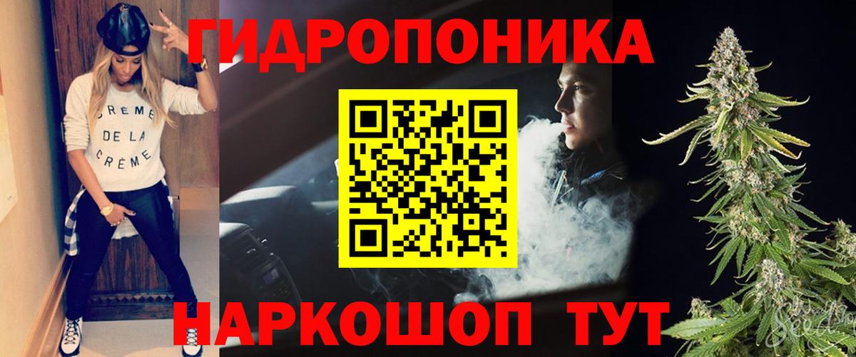 Марихуана OG Kush  Вход с VPN  Курчалой  Канабис сатива 